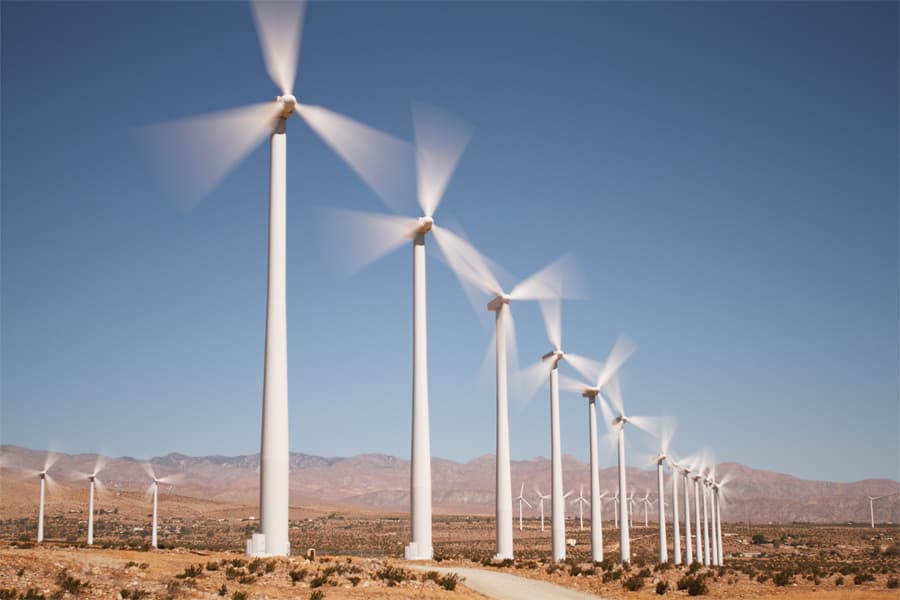 Trump Admin Stalls 165 Wind Farms