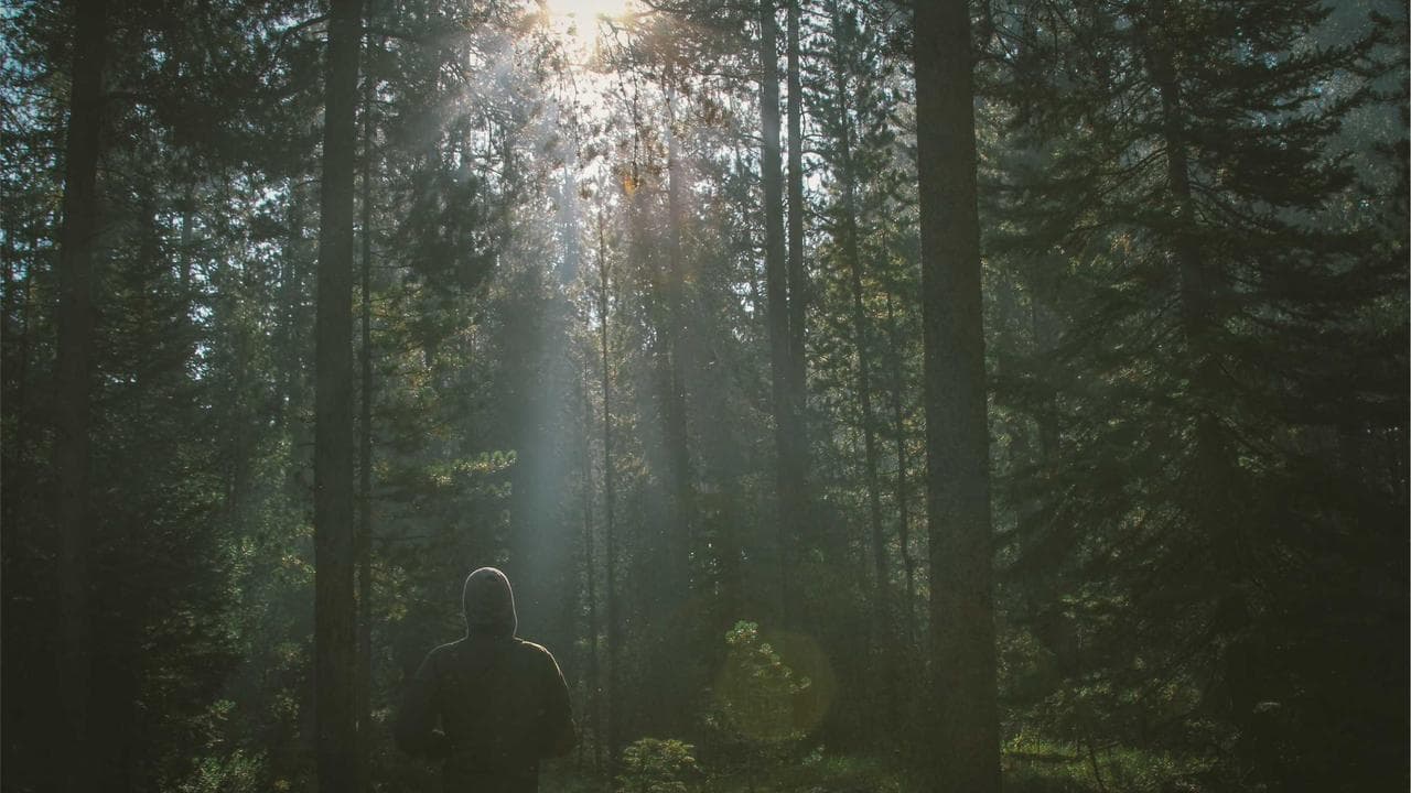 Intel's Stock Soars to New Heights