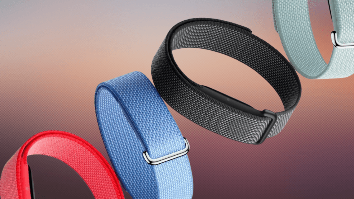 Google Fitbit Air Preorder