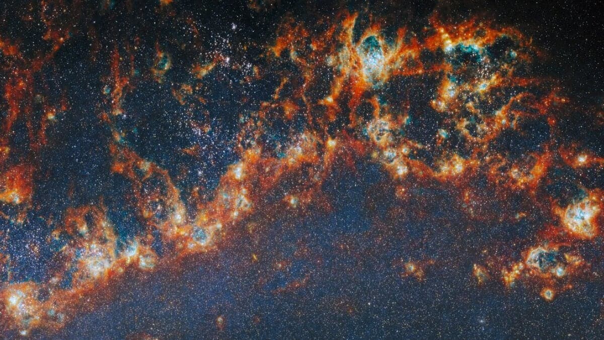 Baby Star Clusters Shed Light On Stellar Evolution