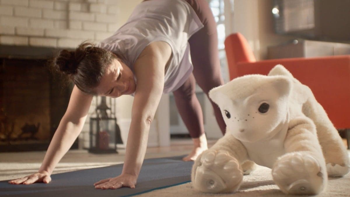 Roomba Inventor's New Companion Robot