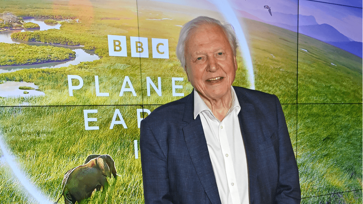 Sir David Attenborough Turns 100